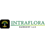 intrafloranursery
