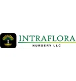intrafloranursery
